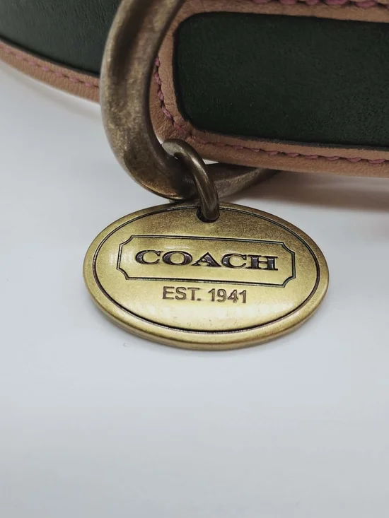 Coach Green and Natural Leather Dog Collar with Brass Medallion - Picture 7 of 9